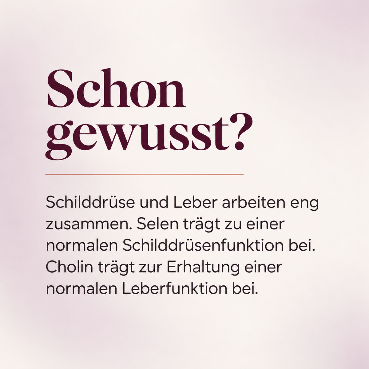 Leber Balance | Tägliche Leber-Unterstützung