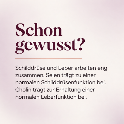 Leber Balance | Tägliche Leber-Unterstützung