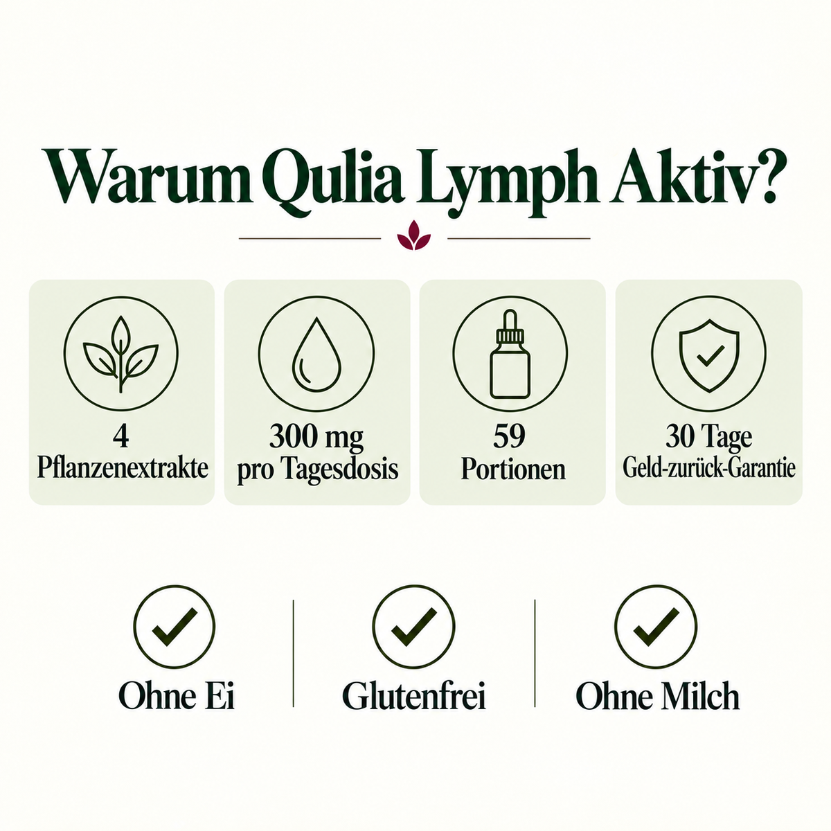 Lymph Aktiv | 4-in-1 Pflanzenkomplex