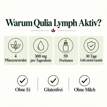 Lymph Aktiv | 4-in-1 Pflanzenkomplex