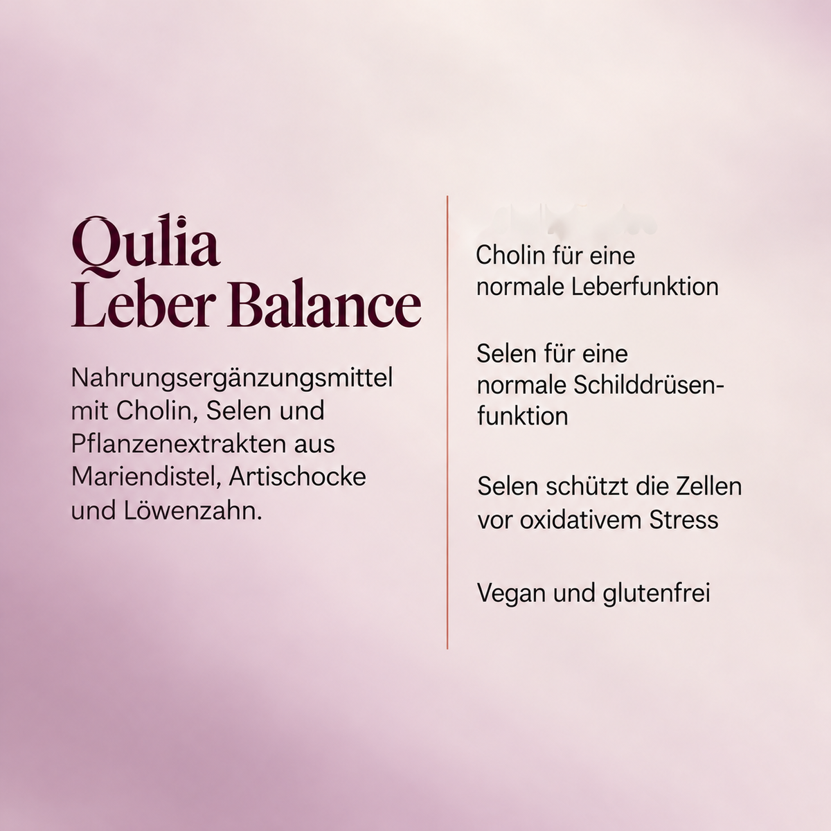 Leber Balance | Tägliche Leber-Unterstützung